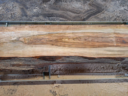 Aged Live Edge Maple Slab